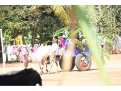  PONGAL CELEBRATION(2023)