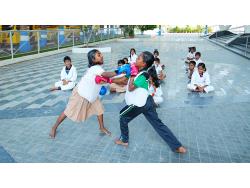 Karate Belt Grade 