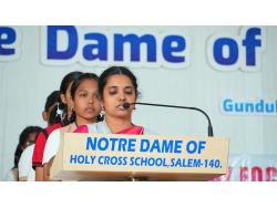 Notredame HCS